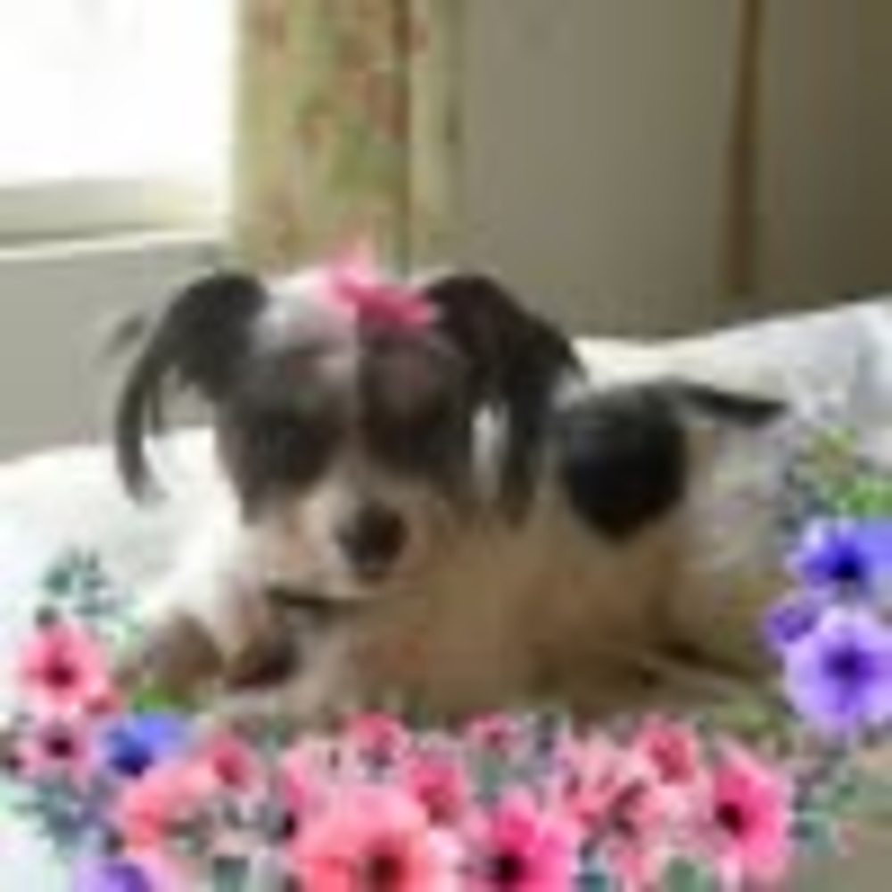 Meet your Posher, Valerie